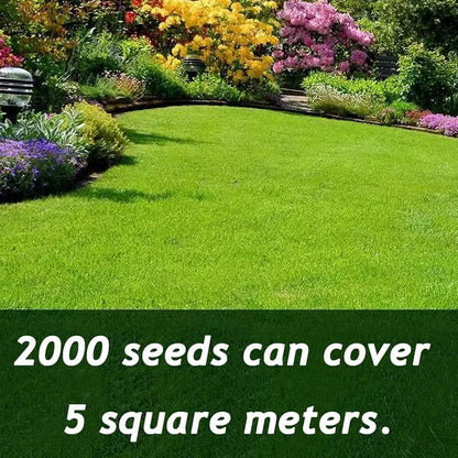 🎉🌱 2026 Four Seasons Evergreen Grass Seed | Durable, Vibrant Green All Year