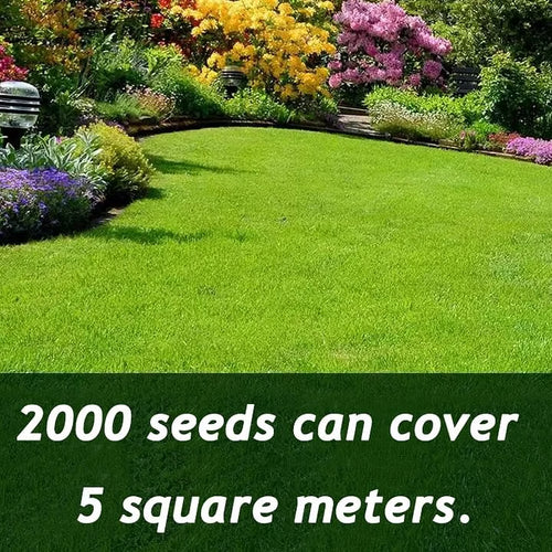 🎉🌱 2026 Four Seasons Evergreen Grass Seed | Durable, Vibrant Green All Year