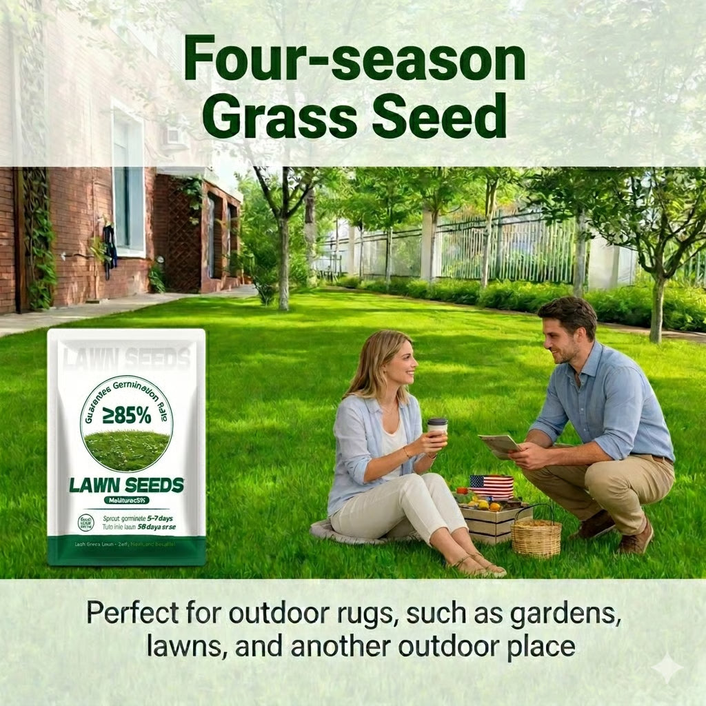🎉🌱 2026 Four Seasons Evergreen Grass Seed | Durable, Vibrant Green All Year