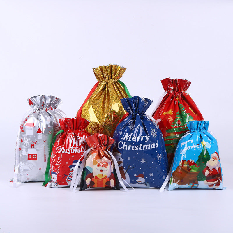 30-Piece Gift Bag & Tag Set