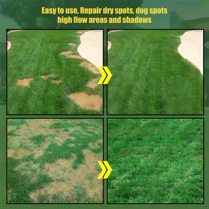 🎉🌱 2026 Four Seasons Evergreen Grass Seed | Durable, Vibrant Green All Year